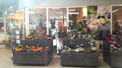 Blumen Gallucci Ramstein, Blumenladen in Ramstein-Miesenbach