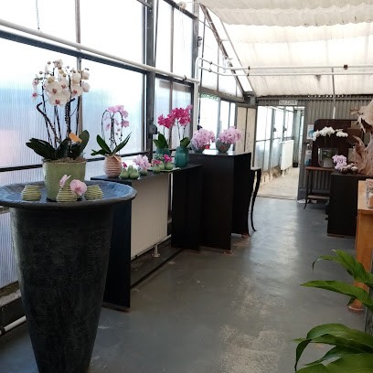 Lemförder Orchideenzucht, Inh. Reuter VermögensVerwaltungs GmbH und Co KG, Blumenladen in Lemförde