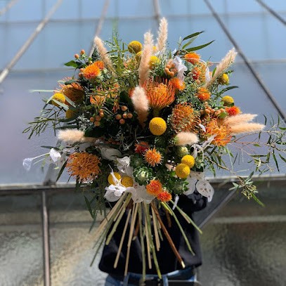 Blumen Schnitzer, Blumenladen in Donauwörth