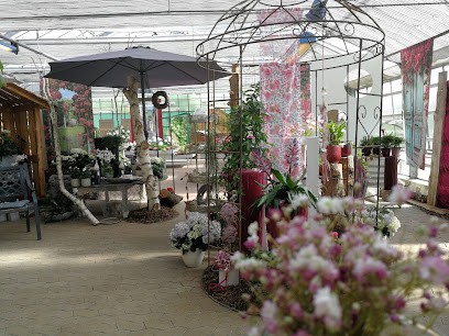 Jutta Stiewe-Köhring Blumen, Blumenladen in Schieder-Schwalenberg