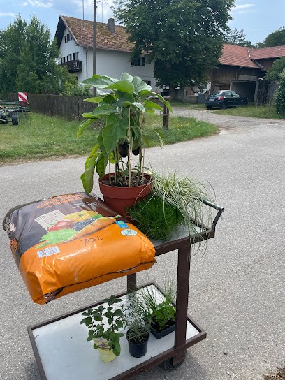 Starnberger Blumengarten, Blumenladen in Starnberg