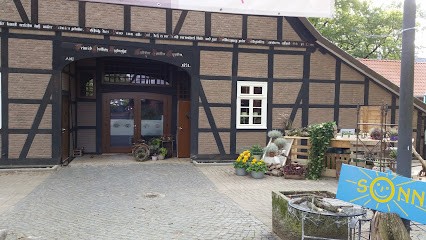 Sonnenblume, Blumenladen in Hannover