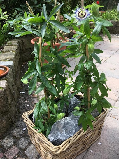 Eilers, Blumenladen in Raesfeld