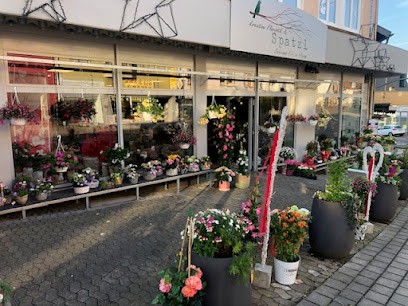 Spatzl - Kreative Floristik & Schönes Für Zu Hause, Blumenladen in Heusweiler