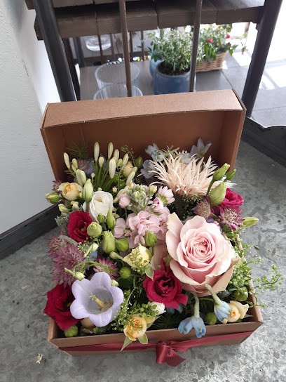 Christina Franke Meisterfloristik, Blumenladen in Dortmund