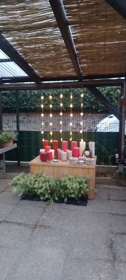 Gärtnerei Kolb, Blumenladen in Rüdesheim am Rhein