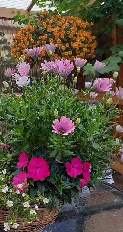 Blumen-Siebrecht, Blumenladen in Kassel