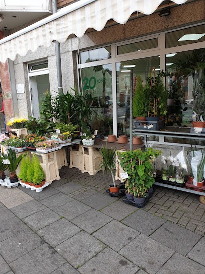 Karam Blumenhaus, Blumenladen in Köln