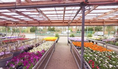 Gärtnerei Kleensang, Blumenladen in Hannover