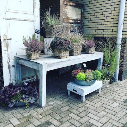 Immergrün Blumen & Geschenke, Blumenladen in Sittensen