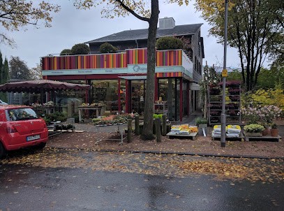 Blumenhaus Chrysanthem Hoffmann u. Hornstein GmbH, Blumenladen in Darmstadt