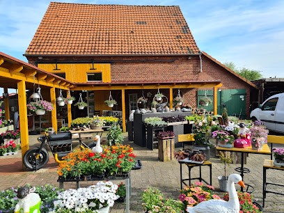 Bögge Floristik, Blumenladen in Hamm