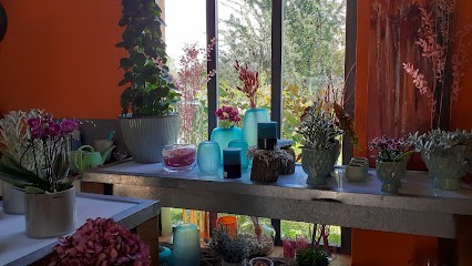 Fleurissimo Inh. Kathrin Schorpp, Blumenladen in Weingarten