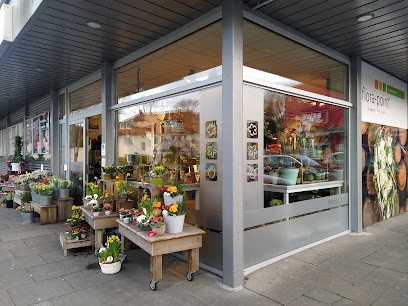 flora-point Blumenshop GmbH, Blumenladen in Dortmund