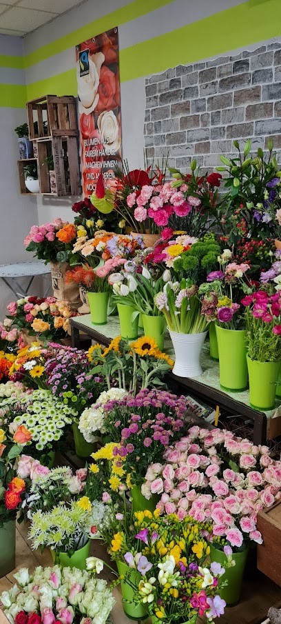 Blumenladen Buschwindröschen Schmidt, Blumenladen in Pulsnitz