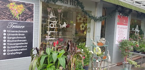la flora, Blumenladen in Adelebsen