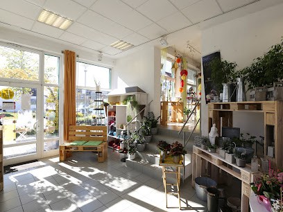Blumen Haimerl - Filiale Allmendingen, Blumenladen in Allmendingen
