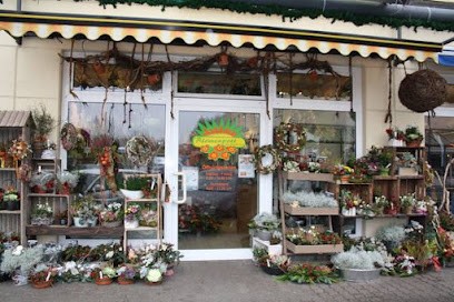 Blomenpott Inh. Sibylle Külß, Blumenladen in Schwerin