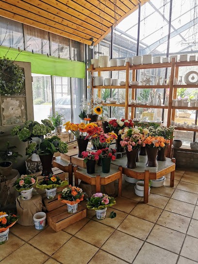 Gärtnerei Fethke, Blumenladen in Seulingen