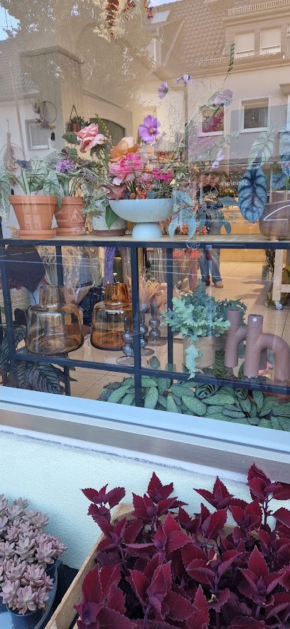 HEJ FLOWERS, Blumenladen in Engelskirchen