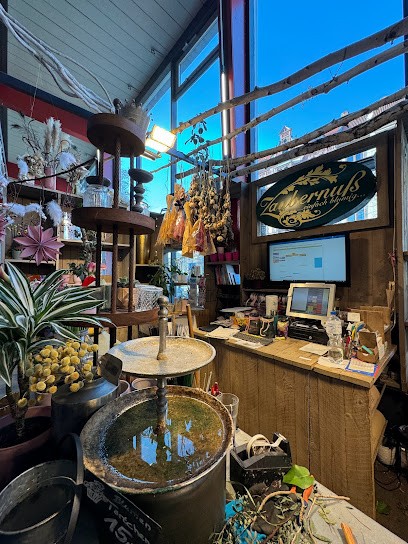 Blumen Zaubernuß, Blumenladen in Hannover