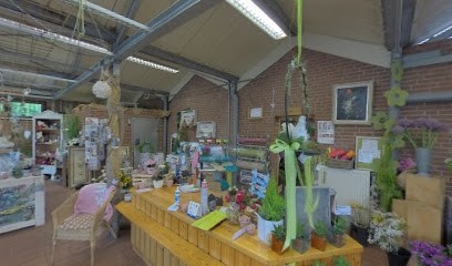 Anke's Blumenladen Inh. Anke Stadtländer, Blumenladen in Rehburg-Loccum