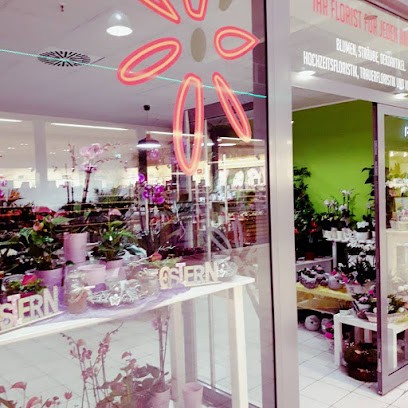 Blumen Gröhsges Trier, Blumenladen in Trier