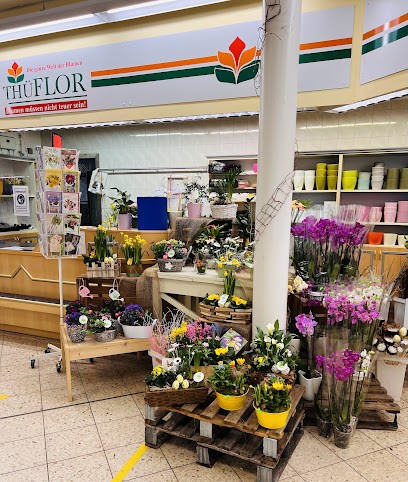 ThüFlor Blumengroß -und Einzelhandel GmbH -Filiale Forstberg, Blumenladen in Mühlhausen