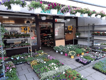 Blumenmarkt Olching, Blumenladen in Olching