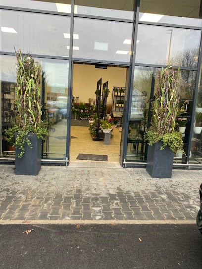 Blumen Oase, Blumenladen in Meppen