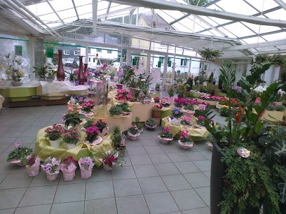 Blumen Luy, Blumenladen in Kastellaun