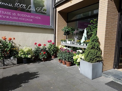 Blumen Wind, Blumenladen in Köln