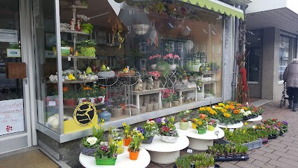 Rosis Blumenstudio, Blumenladen in Hüfingen