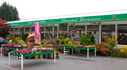 Blumenhof Barkmeyer GmbH, Blumenladen in Melle