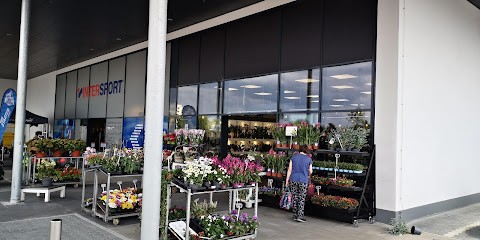 Fleur Holland Blumen, Blumenladen in Bayreuth