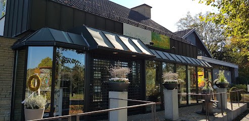 Blumen-Einstein Inh. Schweiger GbR, Blumenladen in Offenburg