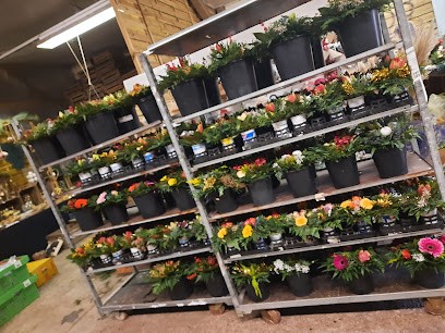 Blumen-Swade, Blumenladen in Edemissen