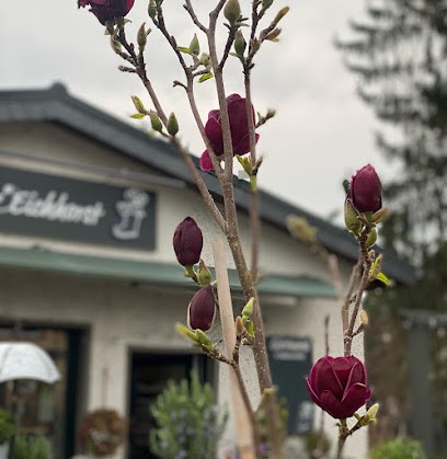 Blumerei Eichhorst, Blumenladen in Rangsdorf