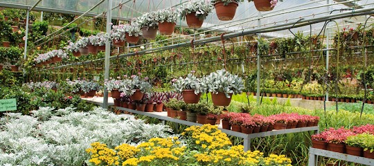 Wiest Karl Friedhofsgärtnerei, Blumenladen in Ochsenhausen