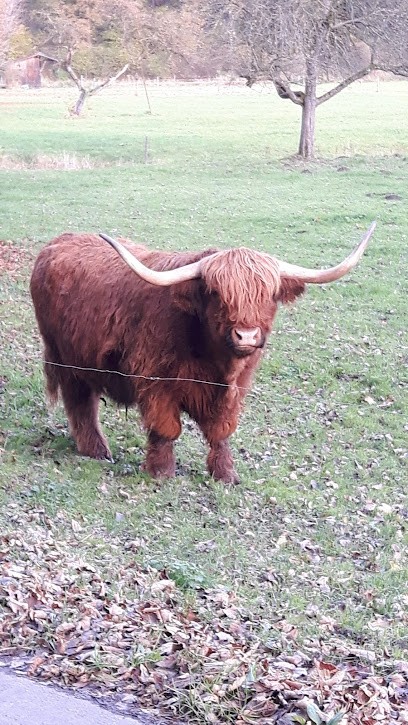 Blumenwerk Hofau, Blumenladen in Stephanskirchen