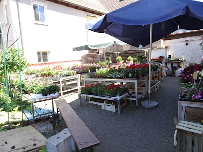 Blumen Jansen, Helen Riedl, Ellingen, Blumenladen in Ellingen