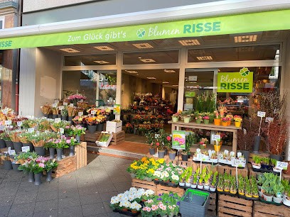 Blumen Risse Blumenladen Düsseldorf-Derendorf, Blumenladen in Düsseldorf