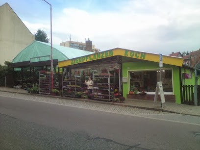 Zierpflanzen Koch , Koch Ralf Blumengeschäft u. Gärtnerei, Blumenladen in Hohenstein-Ernstthal