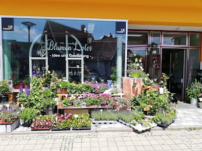 Blumengeschäft Lotos, Blumenladen in Calw