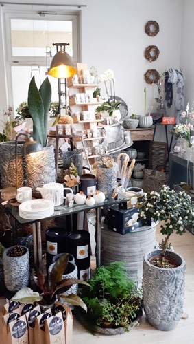 Floristik Galerie Elena Pecher, Blumenladen in Meiningen