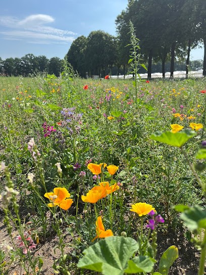 Adelheids Blumen Zum Selberschneiden, Blumenladen in Raesfeld