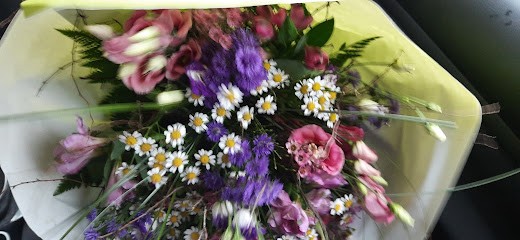 Schumacher u. Noppeney, Blumenladen in Aachen