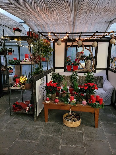 Dietz Blumen & Events, Blumenladen in Ratingen