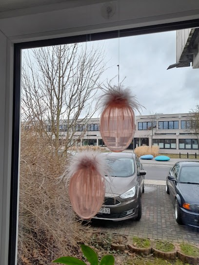 Blumen Der Blumalod'n, Blumenladen in Knetzgau