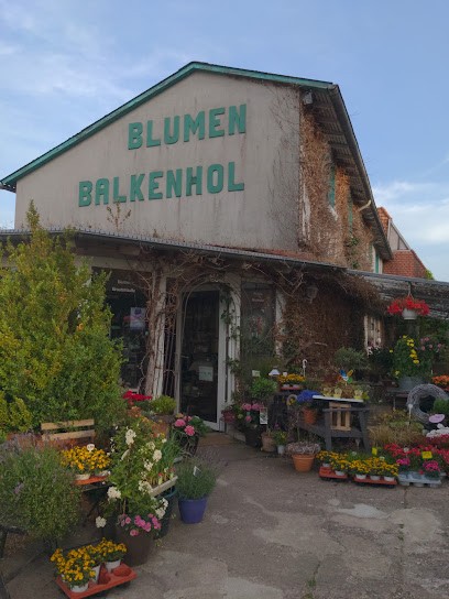 Blumenhaus Balkenhol, Blumenladen in Willebadessen